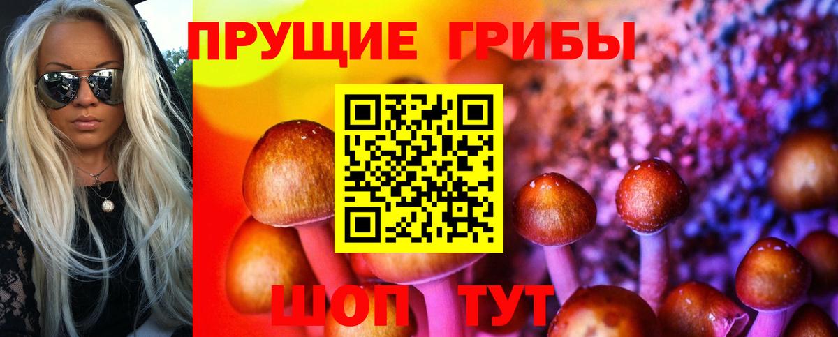 Сосновый Бор  Псилоцибиновые грибы ЛСД  Вход с VPN 